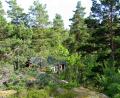 images/Schweden/Schweden 2012/IMG_0650.jpg